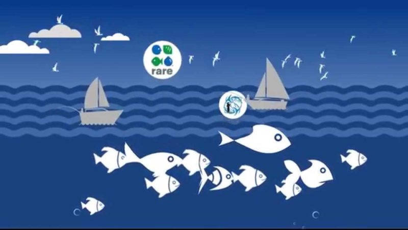 Kini Giliran Nelayan Madura yang Manfaatkan mFish dari XL
