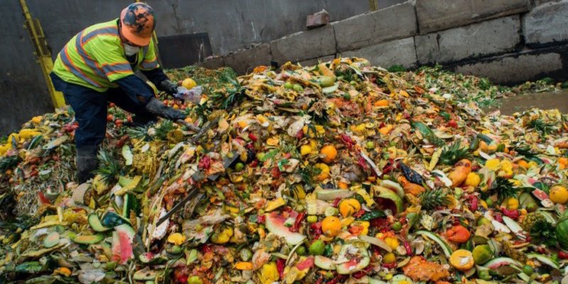 Keren! Tempat Sampah Pintar Ini Bisa Kurangi Limbah Makanan