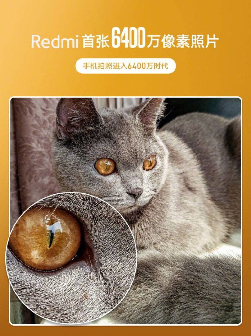Redmi Pamer Kemampuan Kamera 64MP, Ini Hasil Fotonya