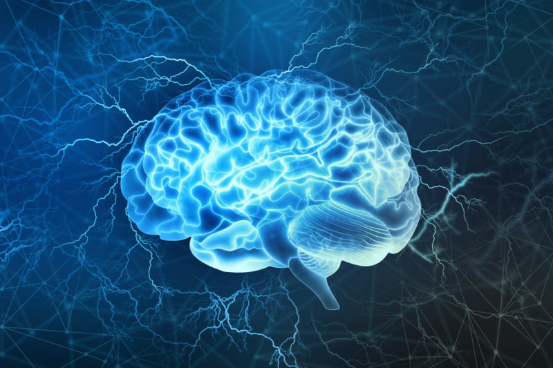 Peneliti Bisa Kendalikan Otak Lewat Smartphone