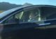 Duh! Mobil Otonom Tesla Ngebut di Jalanan, Supirnya Malah Tidur