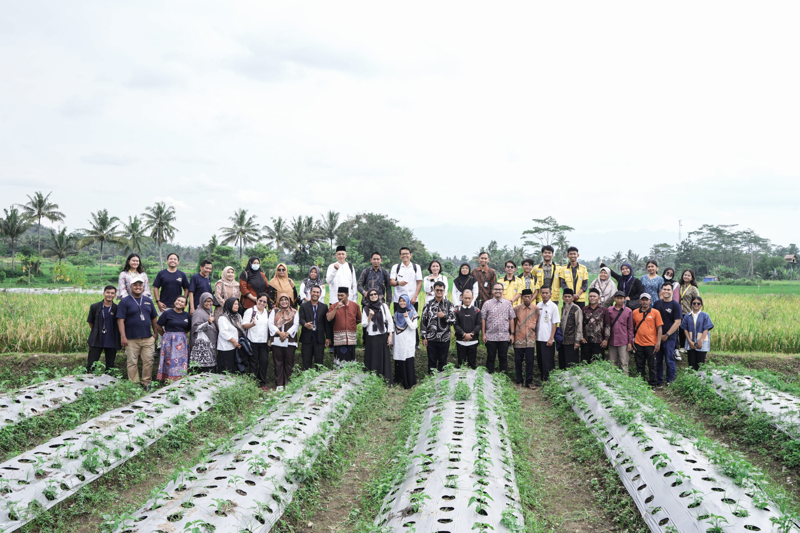 Content image for article: GoTo Impact Foundation dan Magelang Setories: Solusi Regeneratif untuk Petani Magelang