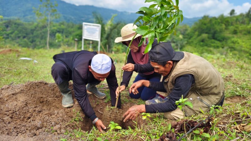 Telkom Tanam 10.000 Bibit Pohon dan Mangrove, Jaga Keanekaragaman Hayati