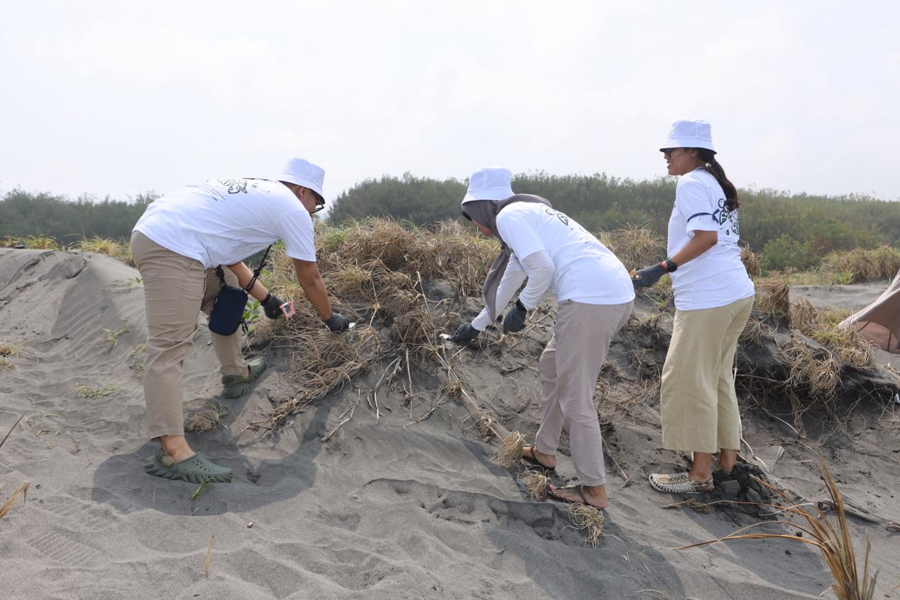 Content image for article: Telkom Gelar Aksi Penyu-lamat 2025 di Pantai Pelangi Yogyakarta