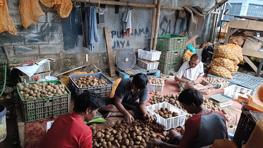 Content image for article: Kisah Asep: Dari Ikan Hias ke Kentang Dieng, Telkomsel Dukung UMKM