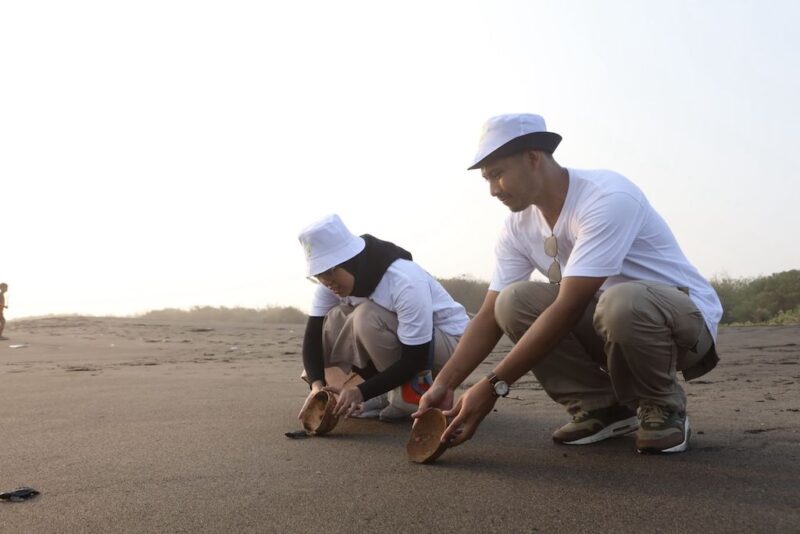 Telkom Gelar Aksi Penyu-lamat 2025 di Pantai Pelangi Yogyakarta