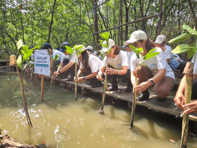 ZTE Tanam 500 Mangrove di PIK untuk Masa Depan Digital Ramah Lingkungan