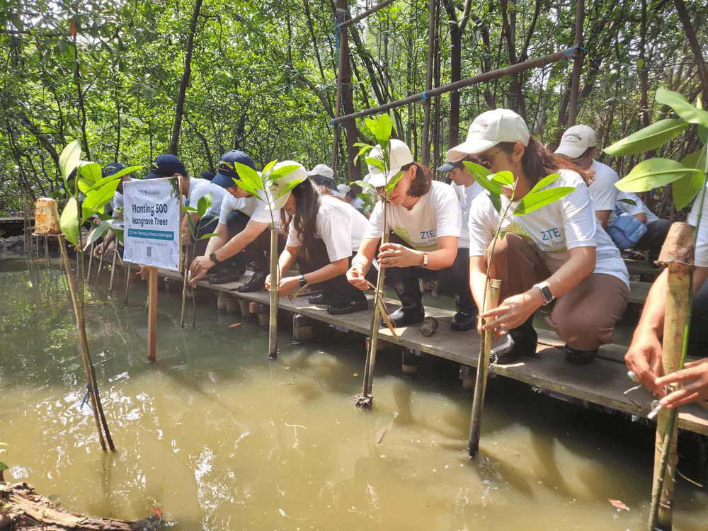 ZTE Tanam 500 Mangrove di PIK untuk Masa Depan Digital Ramah Lingkungan