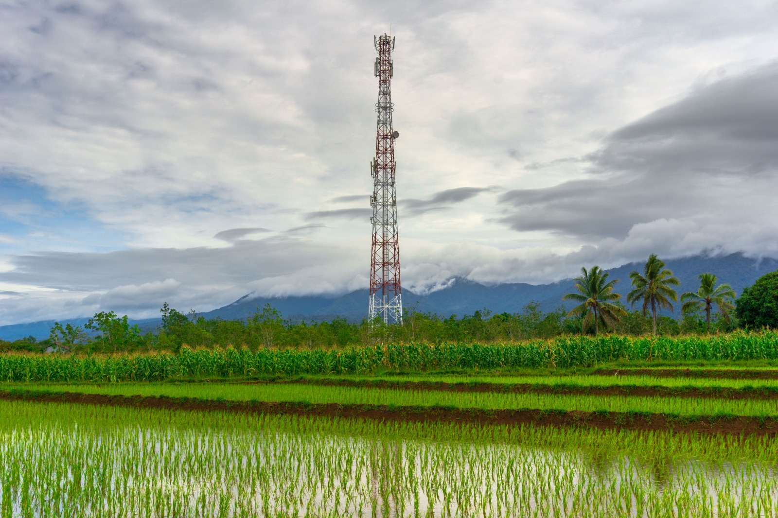 Indosat–Qualcomm Pacu Otomatisasi Jaringan Berbasis AI