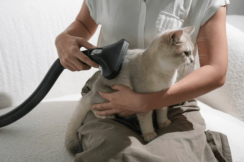 Content image for article: Acerpure Clean V2 Resmi Hadir, Solusi Bersih Rumah dan Grooming Hewan