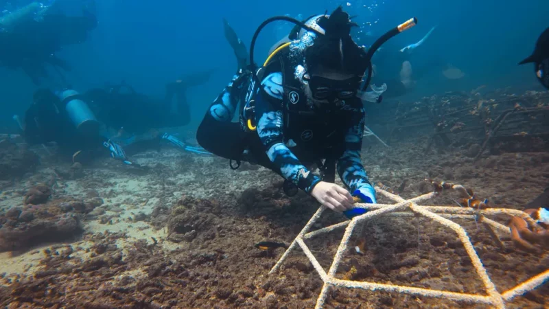 Content image for article: Brigitta Gunawan, Aktivis Muda yang Selamatkan Terumbu Karang dengan Teknologi Samsung